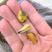 海虹干淡菜干贻贝干贝类干野生淡菜干非特贻贝干500g无沙