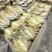 海虹干淡菜干贻贝干贝类干野生淡菜干非特贻贝干500g无沙