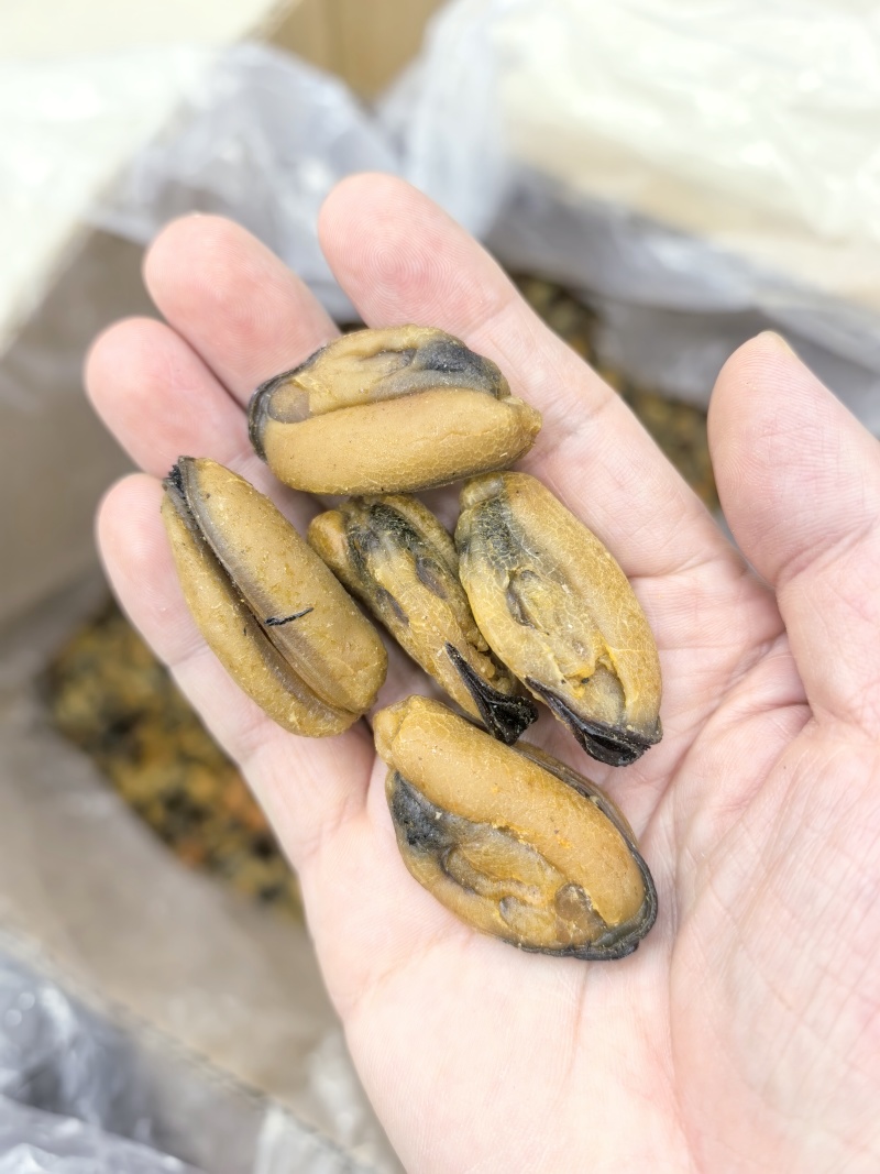 海虹干淡菜干贻贝干贝类干野生淡菜干非特贻贝干500g无沙