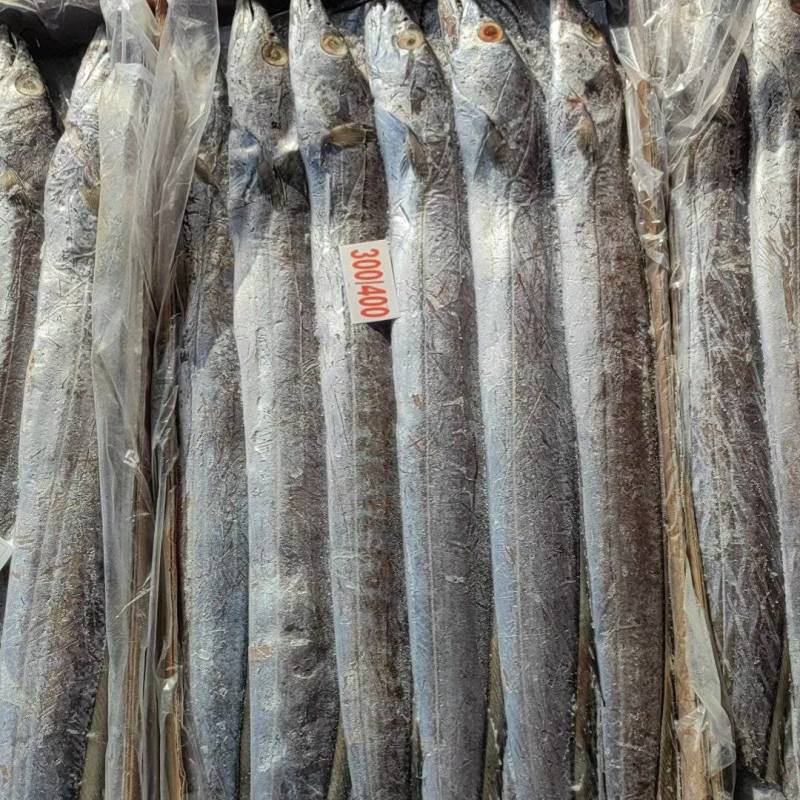 大带鱼，卖相不错，四个规格可选，薄利多销，价格优惠