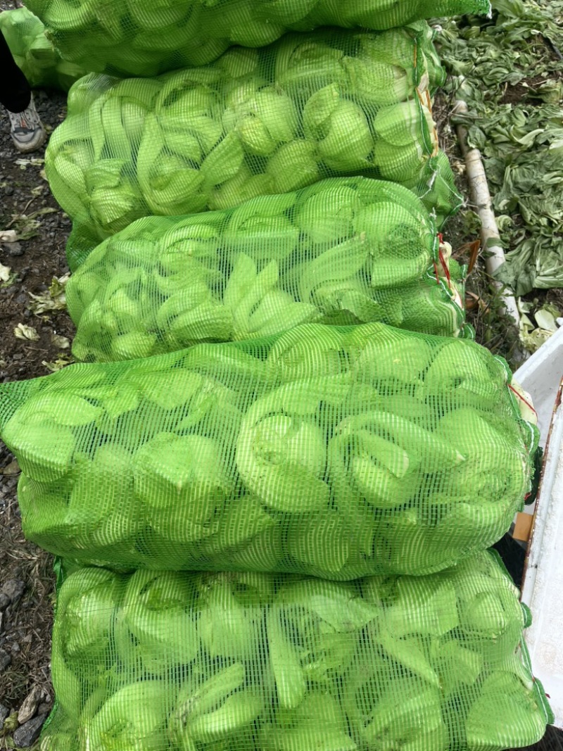 大量供应，加工厂腌酸，市场批发，电商平台价，价格实惠。