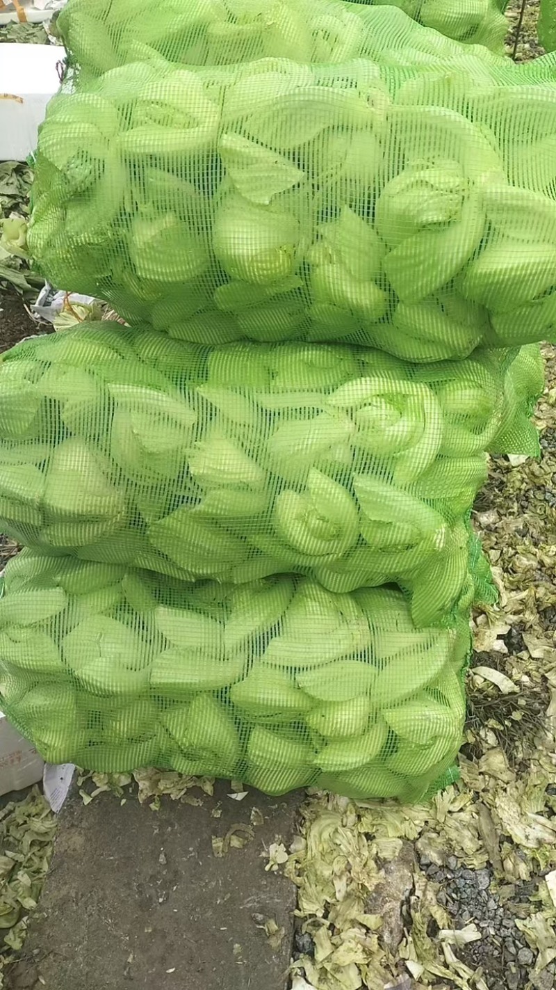 大量供应，加工厂腌酸，市场批发，电商平台价，价格实惠。