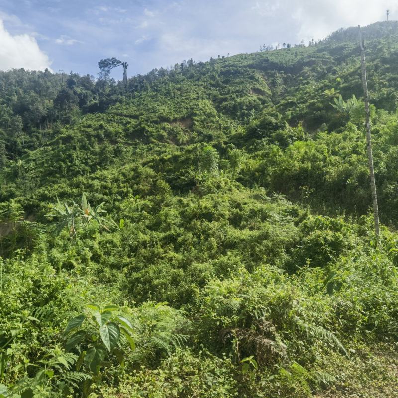盈江土地出租转让