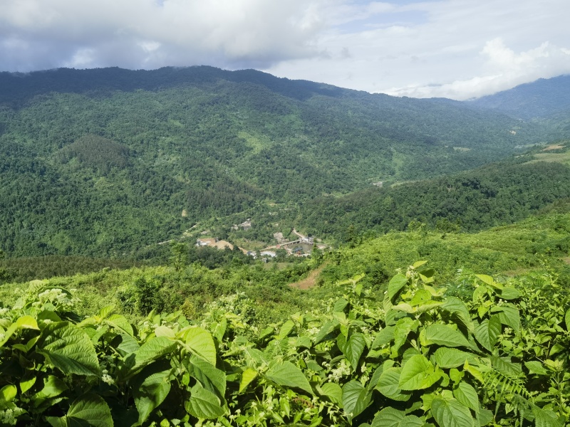 盈江土地出租转让