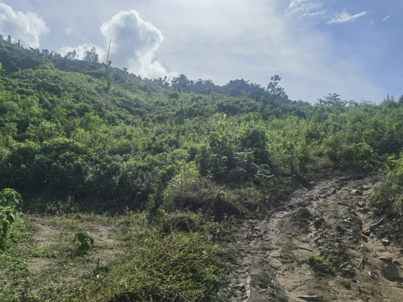 盈江土地出租转让