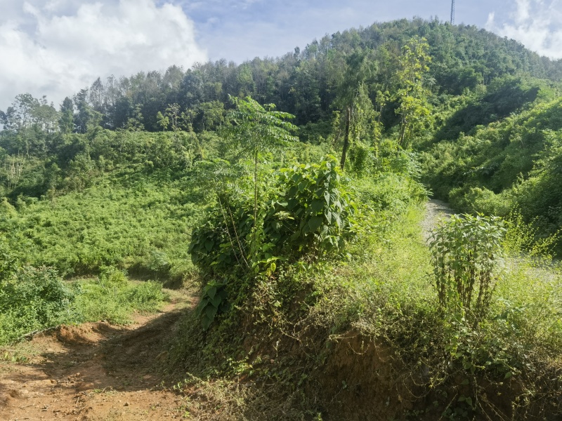 盈江土地出租转让
