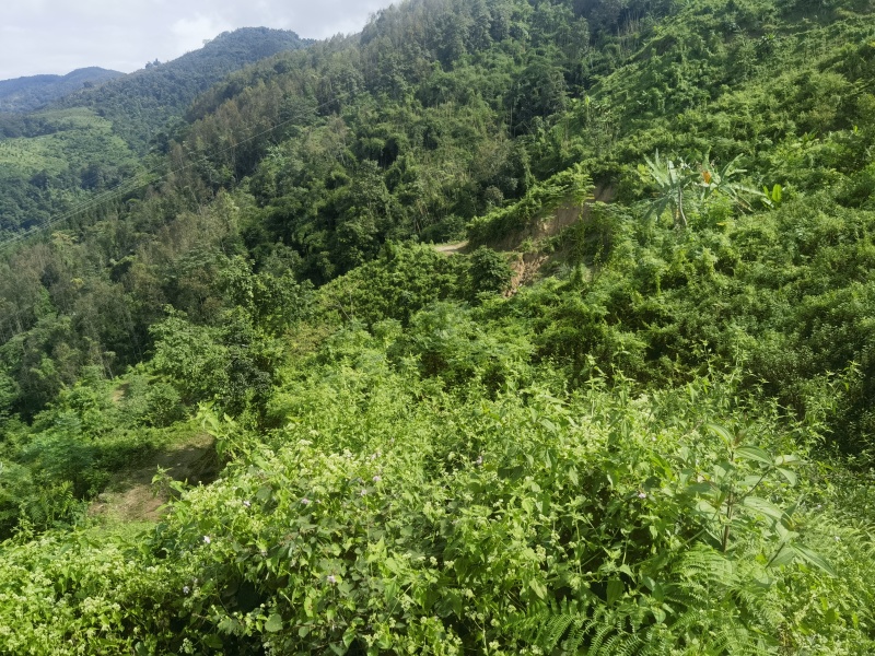 盈江土地出租转让