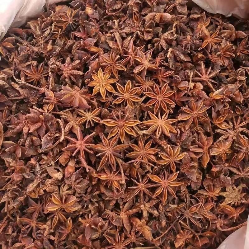 2025广西大红八角全干八角大料新货足干