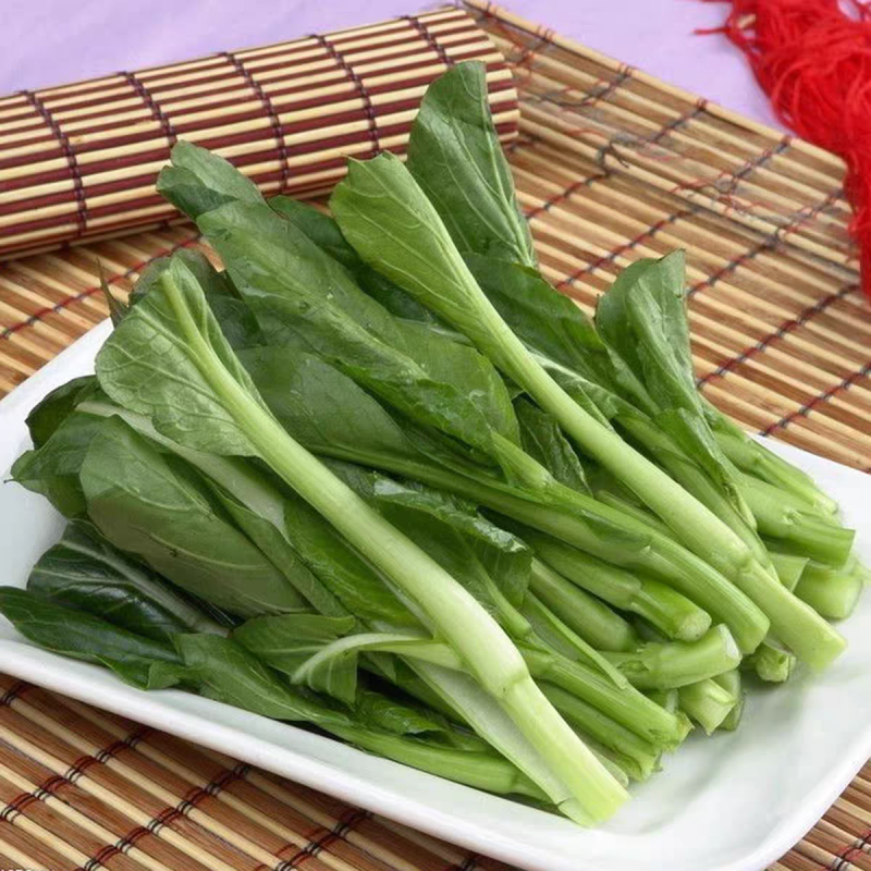 甜菜心广东菜心油菜苔产地看货论价保质保量