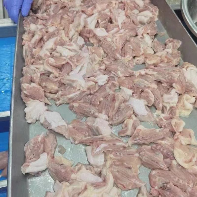 冷冻新鲜鸡背肉龙骨厂家直供对接各大商超批发市场
