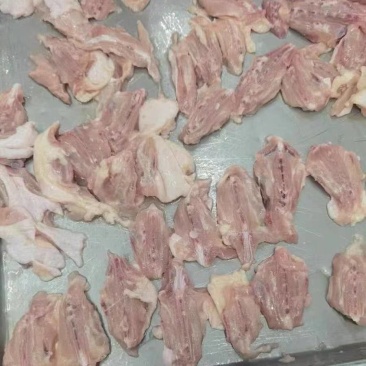 冷冻新鲜鸡背肉龙骨厂家直供对接各大商超批发市场