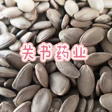 瓜蒌籽选双边瓜蒌仁新货关书药业专注品质如图所示