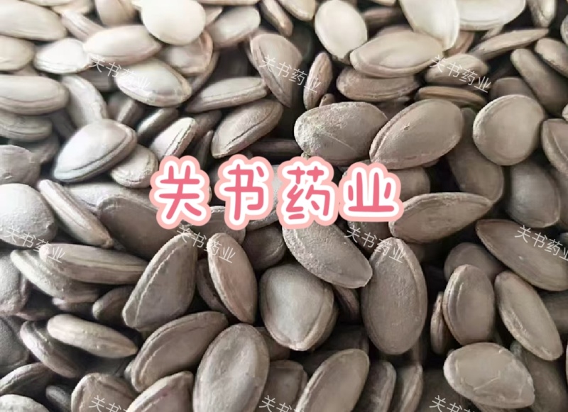 瓜蒌籽选双边瓜蒌仁新货关书药业专注品质如图所示