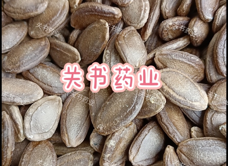 瓜蒌籽选双边瓜蒌仁新货关书药业专注品质如图所示