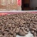 新鲜三叶青鲜果，一年四季供货