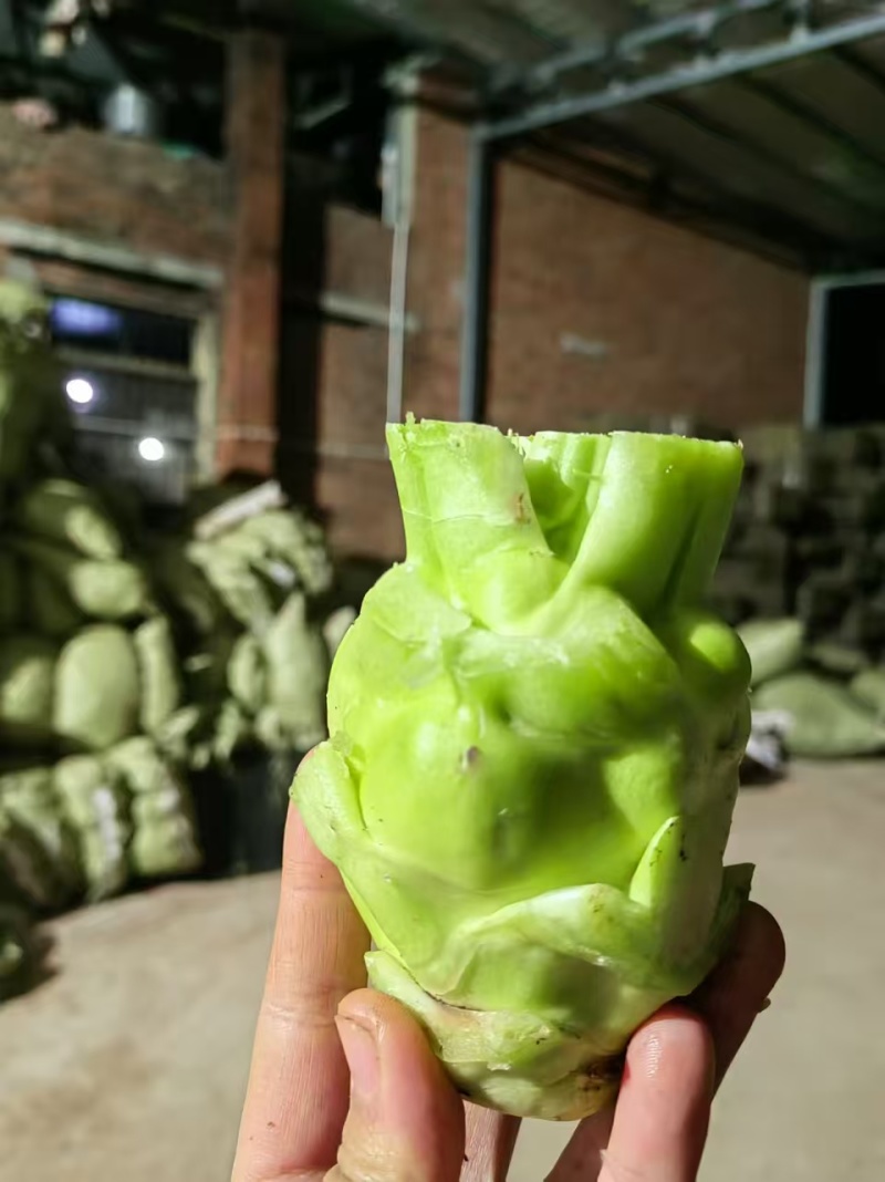 榨菜/榨菜头/四川成都简阳市基地直发/对接全国采购商