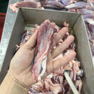 一根筋