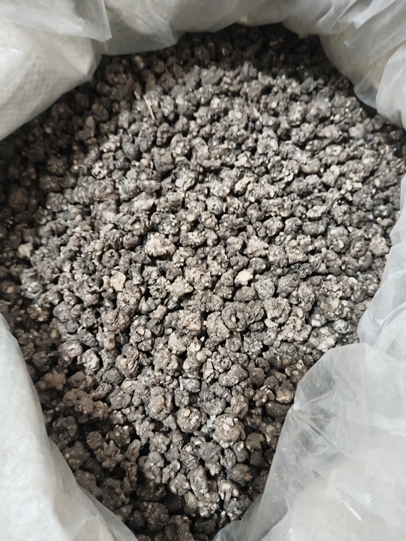 猫抓草无硫没有杂质一手货源今年新货量大从优诚信第一