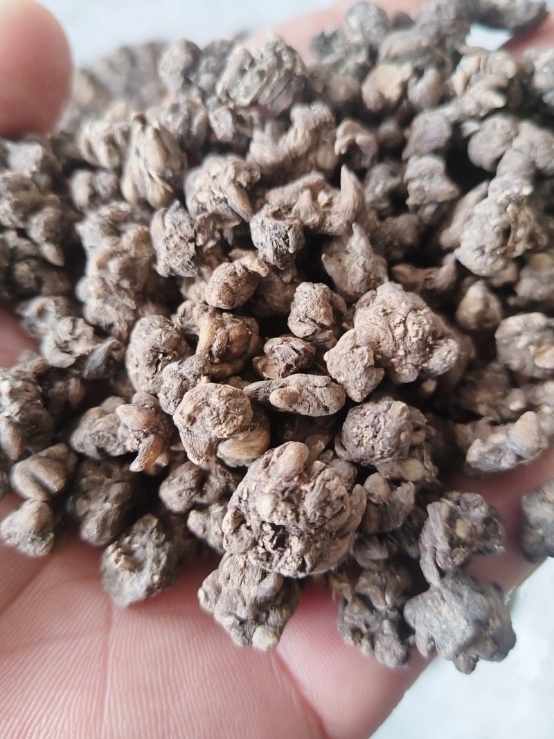 猫抓草无硫没有杂质一手货源今年新货量大从优诚信第一