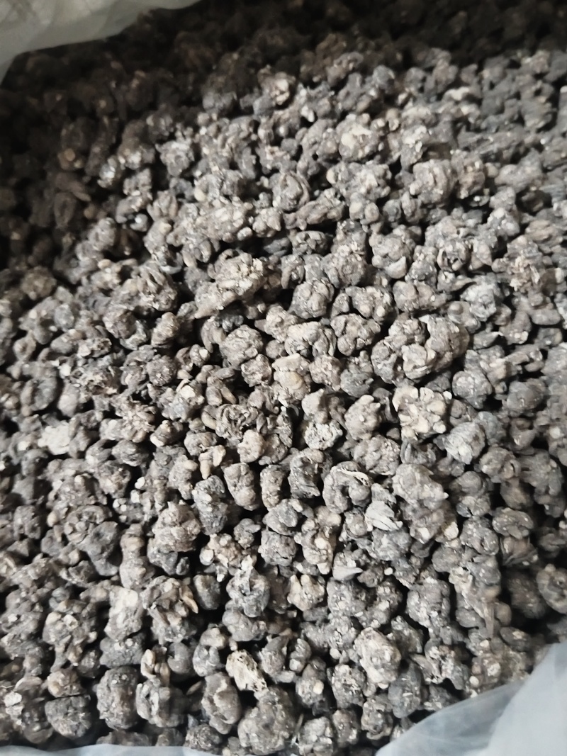 猫抓草无硫没有杂质一手货源今年新货量大从优诚信第一