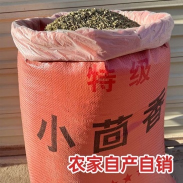 新货甘肃香料正品小茴香商用颗粒调料家用火锅
