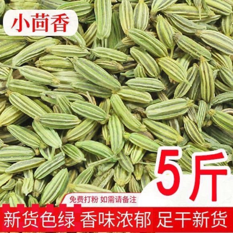 新货甘肃香料正品小茴香商用颗粒调料家用火锅