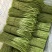 云南精品藜蒿产地直销品质保证量大从优对接市场商超