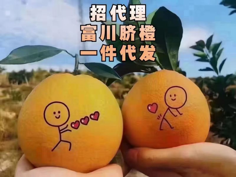 富川脐橙一件代发顺丰包邮