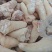 母猪猪尾巴,新货,常年生产,品质保证,供应稳定