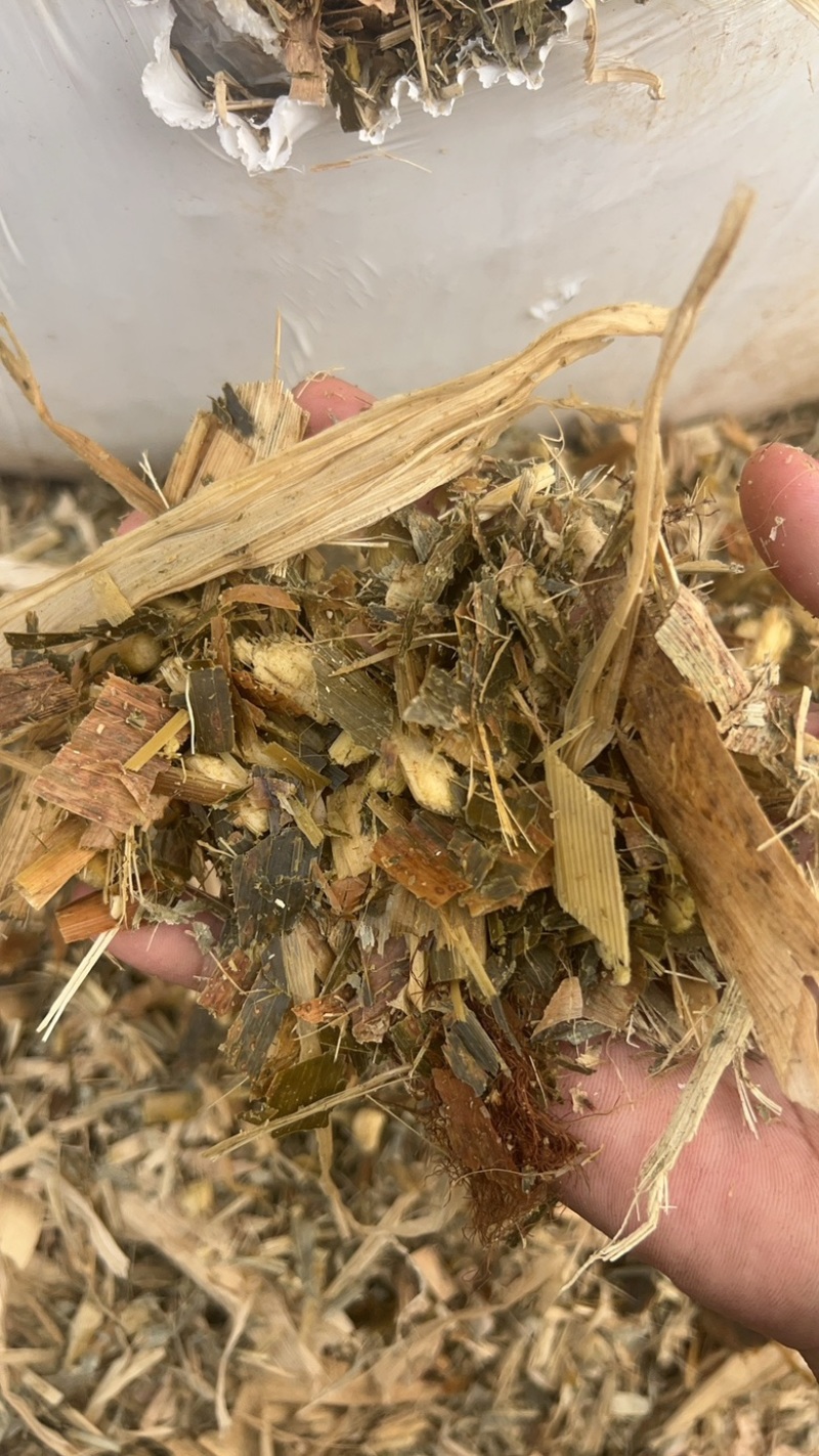黄储吨包玉米秸秆优质产品哦