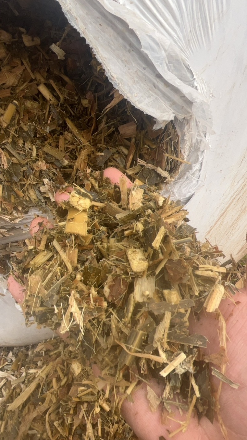 黄储吨包玉米秸秆优质产品哦
