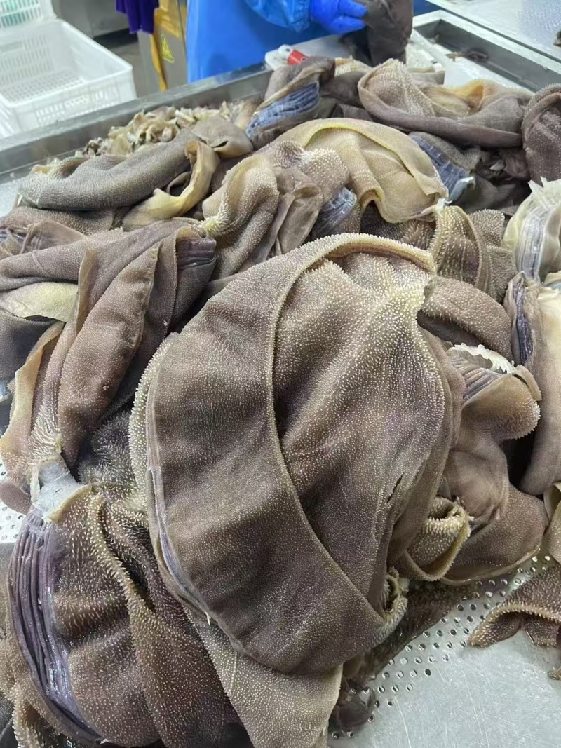 牛百叶片黑毛肚爆肚片火锅食毛肚