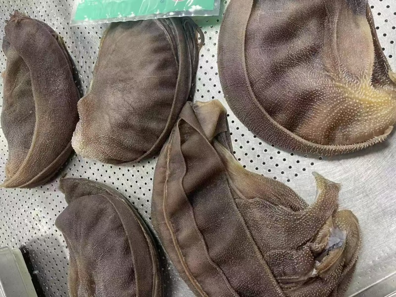 牛百叶片黑毛肚爆肚片火锅食毛肚