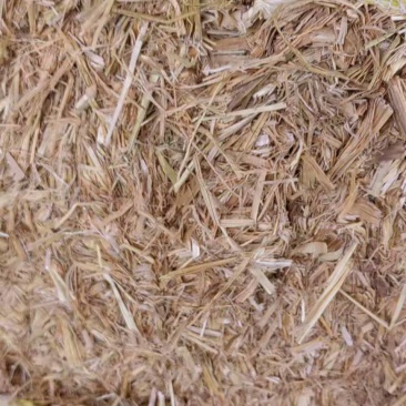 吉林稻草谷草稻草