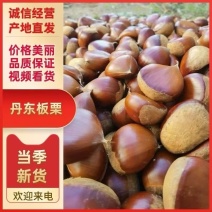 丹东板栗货源充足量大从优价格便宜保质保量