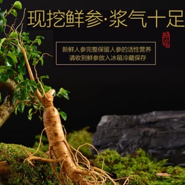 新鲜山参，货源充足，年份足货量有限！