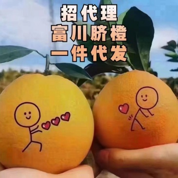 富川脐橙一件顺丰代发