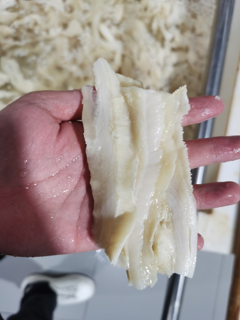 牛肚片大量供应，新鲜直发货源充足，厂家对接