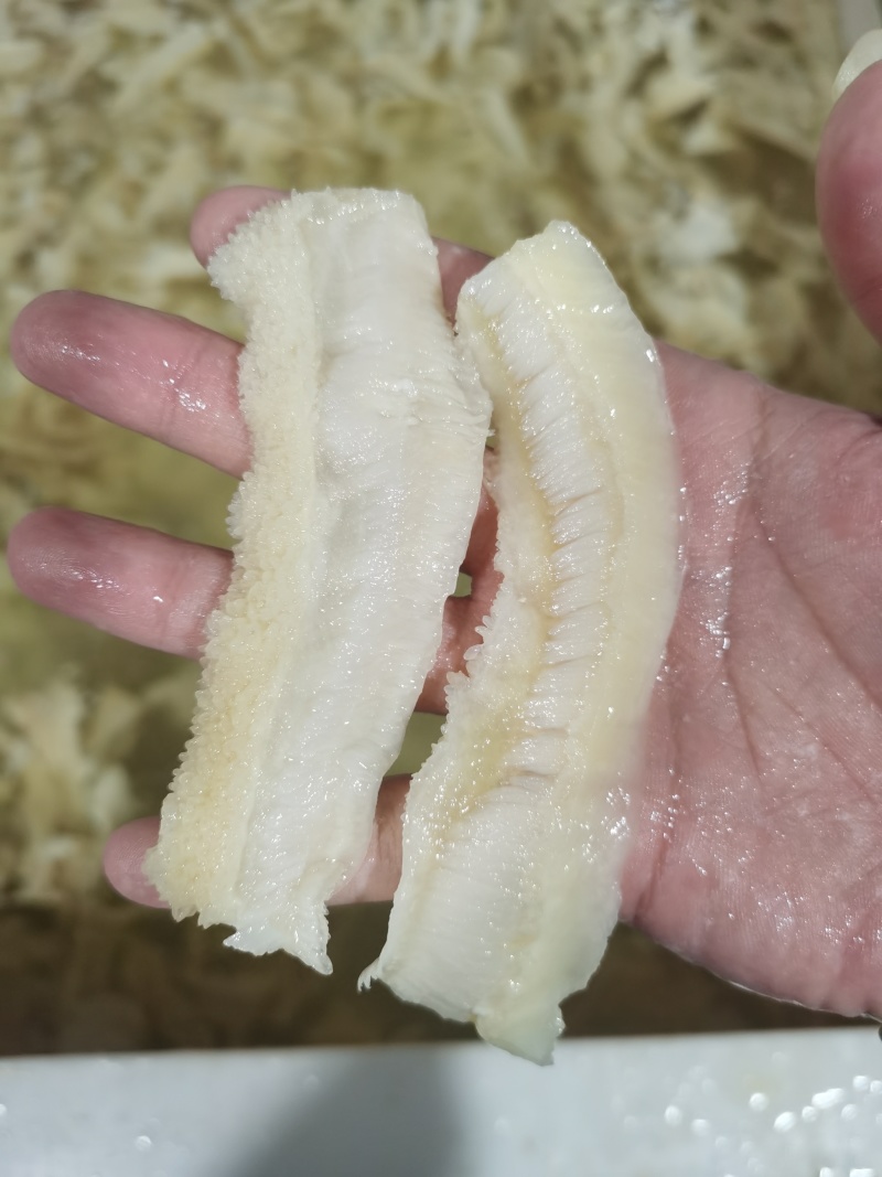 牛肚片大量供应，新鲜直发货源充足，厂家对接