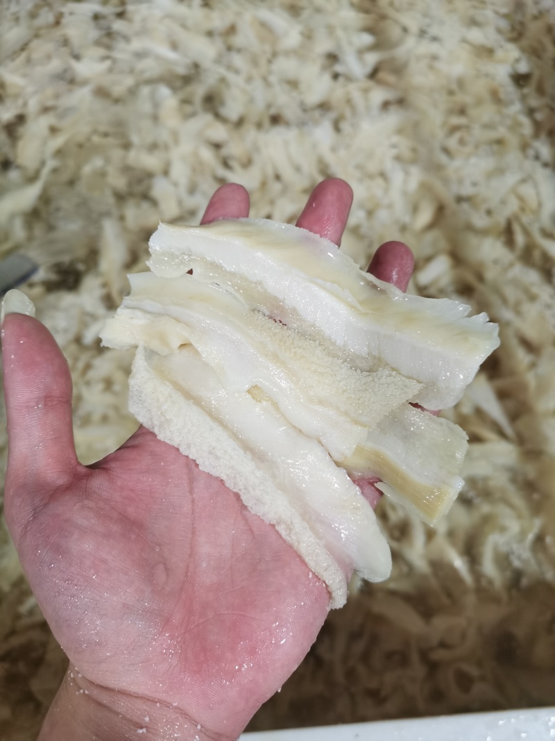 牛肚片大量供应，新鲜直发货源充足，厂家对接
