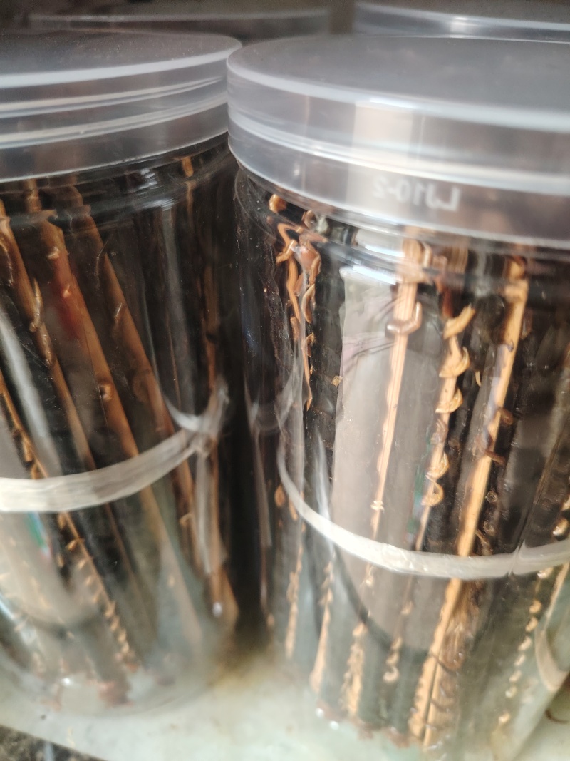 红头蜈蚣种苗，药用蜈蚣皮，产地直销。纯野生活体蜈蚣四季。