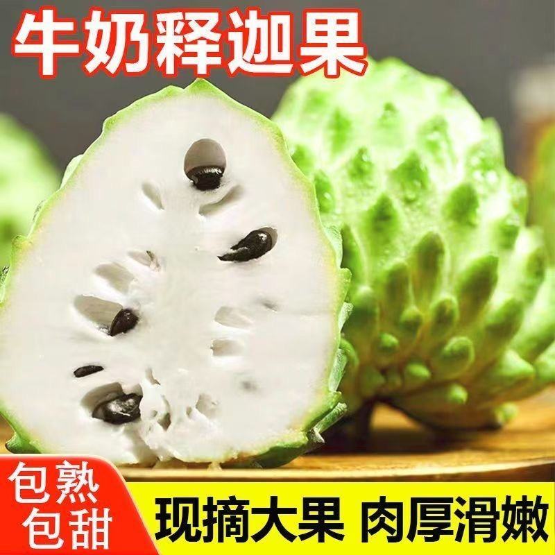 云南牛奶释迦果，一手货源，诚信经营，一件代发，可对接电商