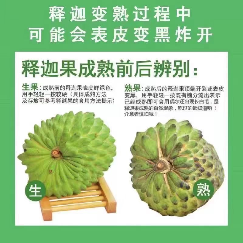 云南牛奶释迦果，一手货源，诚信经营，一件代发，可对接电商
