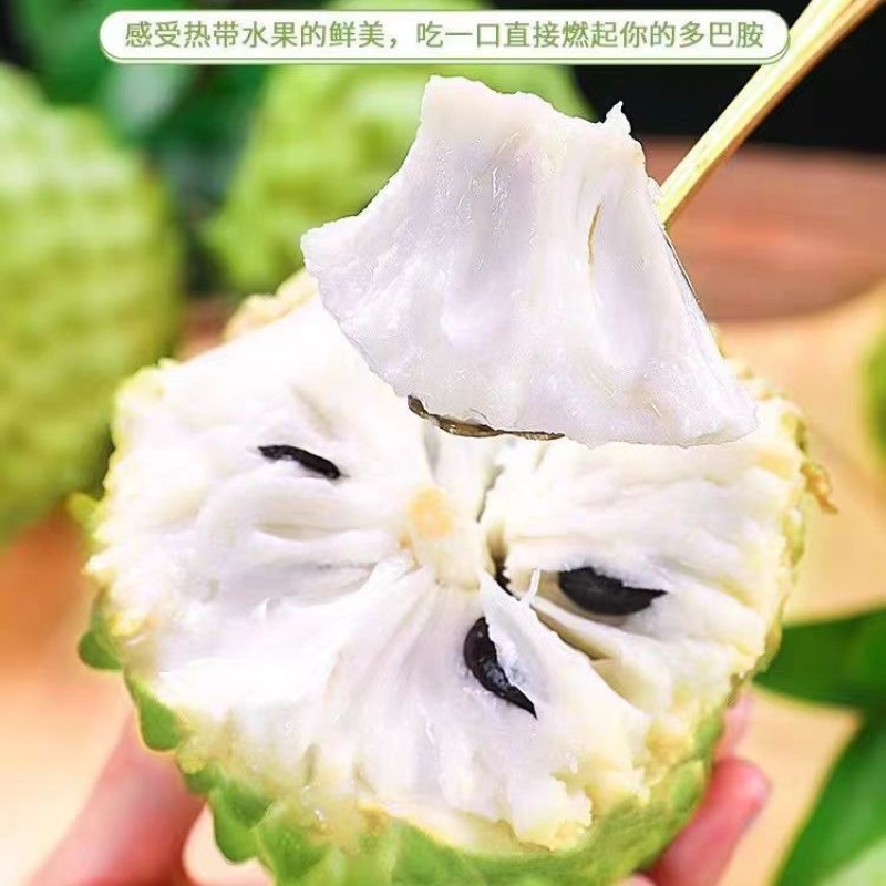 云南牛奶释迦果，一手货源，诚信经营，一件代发，可对接电商