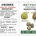 云南牛奶释迦果，一手货源，诚信经营，一件代发，可对接电商