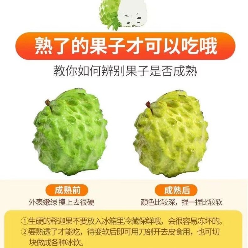 云南牛奶释迦果，一手货源，诚信经营，一件代发，可对接电商
