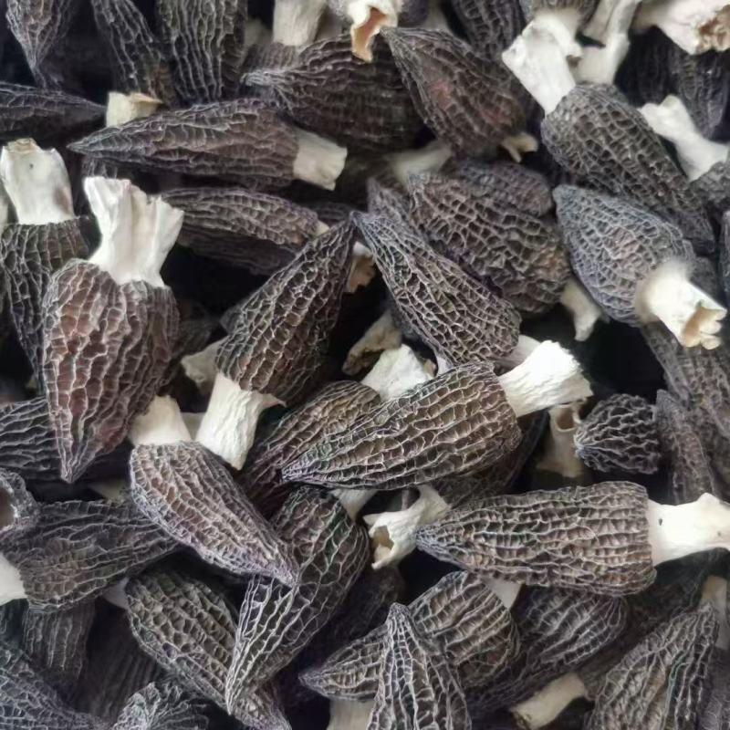3-10公分羊肚菌干货优质厚肉黑身羊肚菌