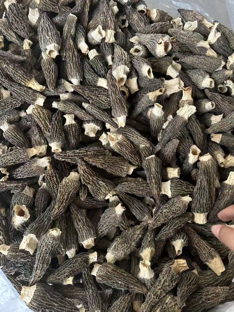 3-10公分羊肚菌干货优质厚肉黑身羊肚菌