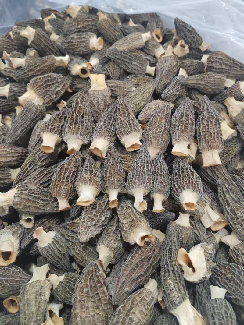 3-10公分羊肚菌干货优质厚肉黑身羊肚菌