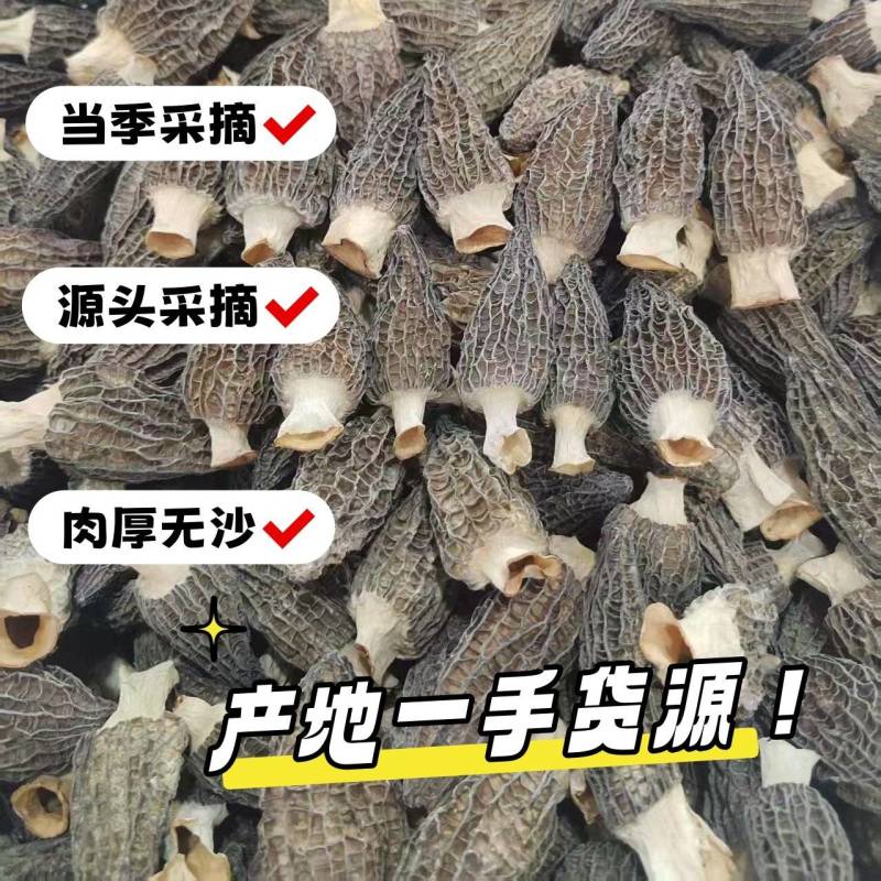 3-10公分羊肚菌干货优质厚肉黑身羊肚菌